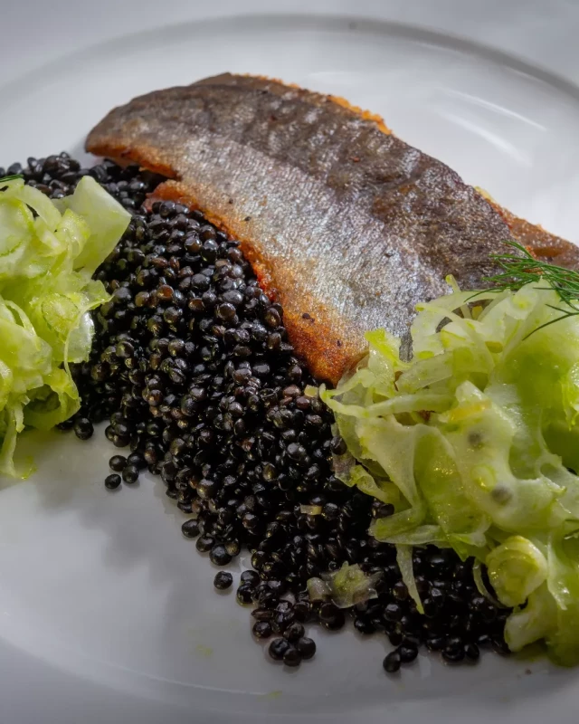 nowa-reforma-20230705-017