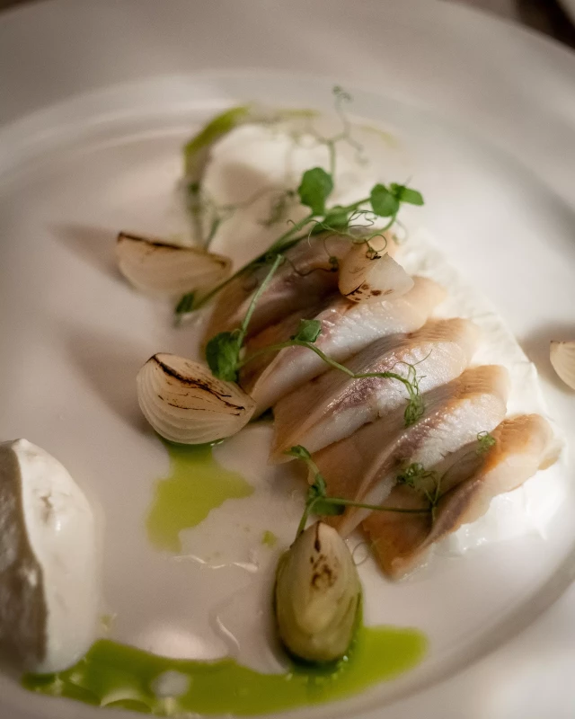 nowa-reforma-20230705-031