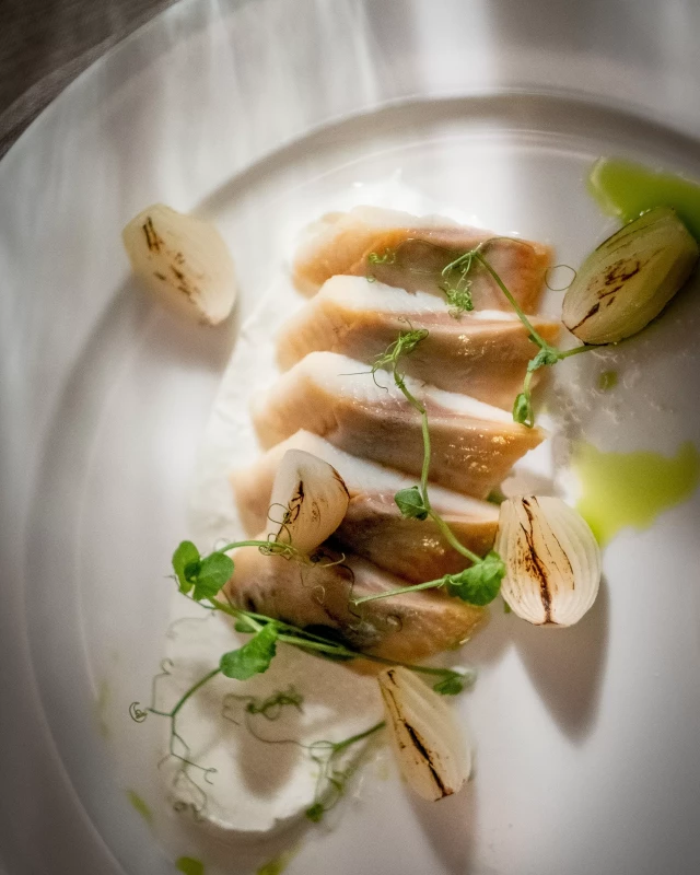 nowa-reforma-20230705-041